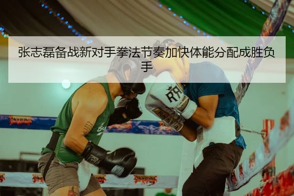 张志磊备战新对手拳法节奏加快体能分配成胜负手